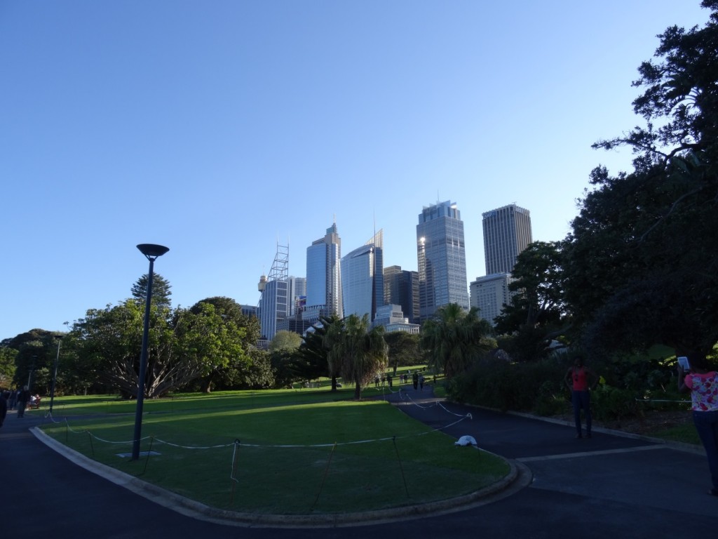 Botanischer Garten mit Skyline