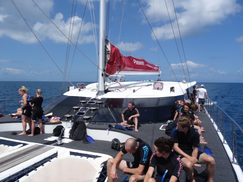 Alle warten gespannt auf das Schnorcheln und Tauchen.