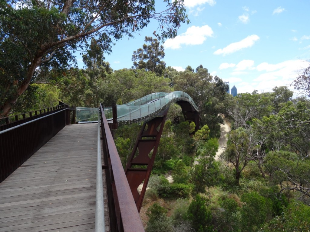 Der Kings Park mit dem Tree Walk mitten in Perth