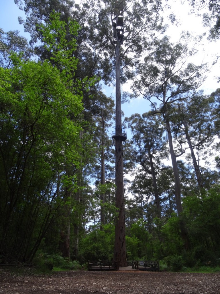 Ca. 70m geht es hinauf...