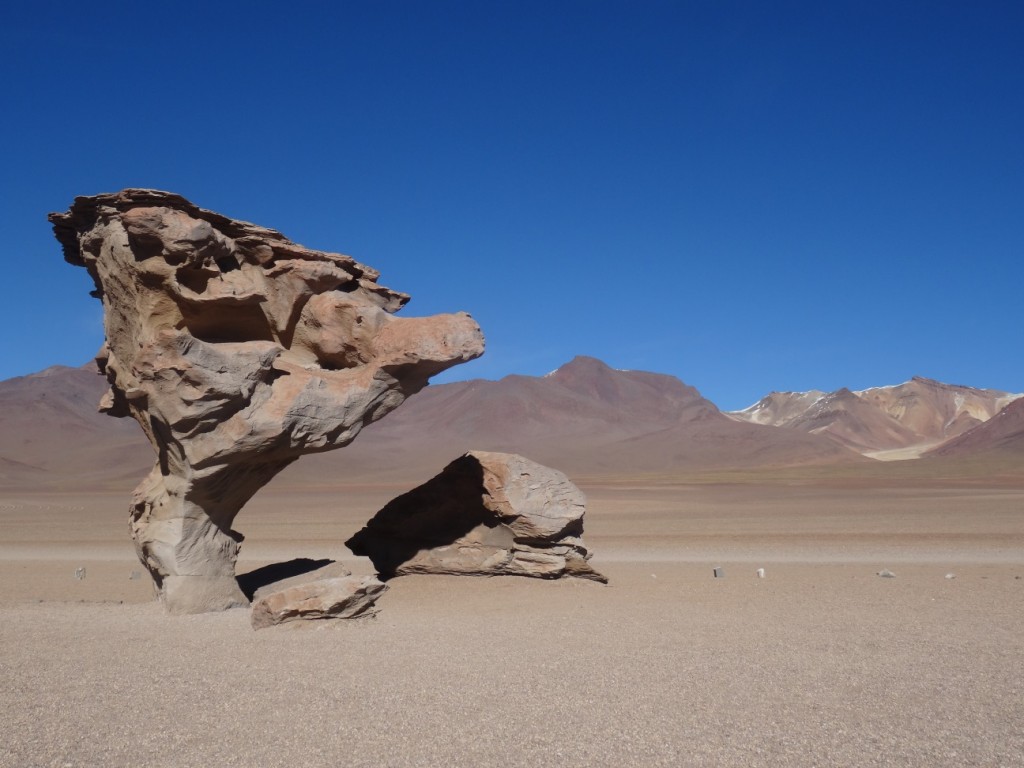 Der steinerne Baum...