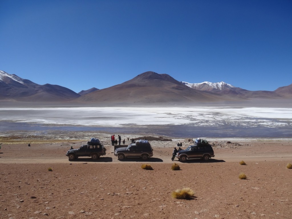 Wieder eine Laguna, hier wurde früher Borax abgebaut (das weisse Zeug auf dem See)