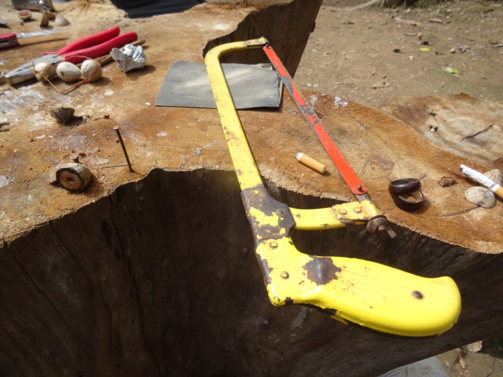 Als Andenken fertigen wir selber einen Fingerring aus dem Kern einer Frucht