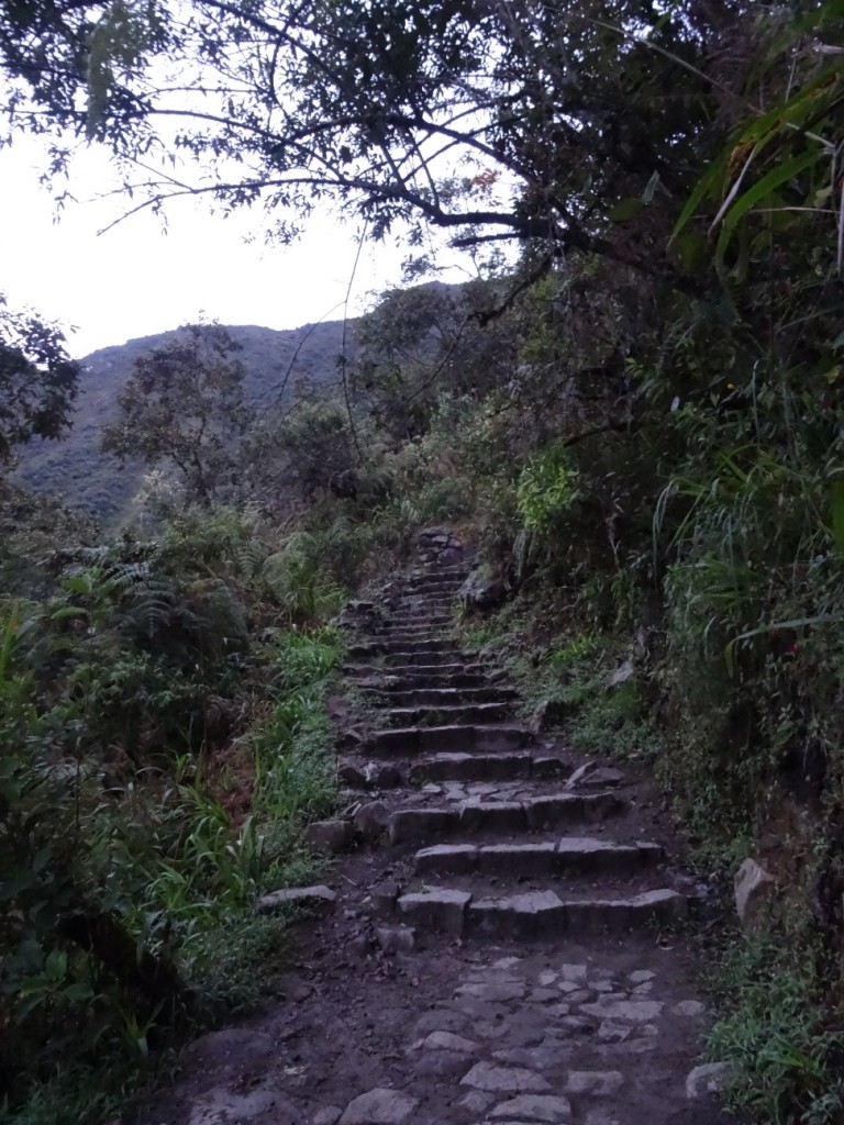 Am frühen Morgen nehmen wie den Aufstieg zum Machu Picchu in Angriff