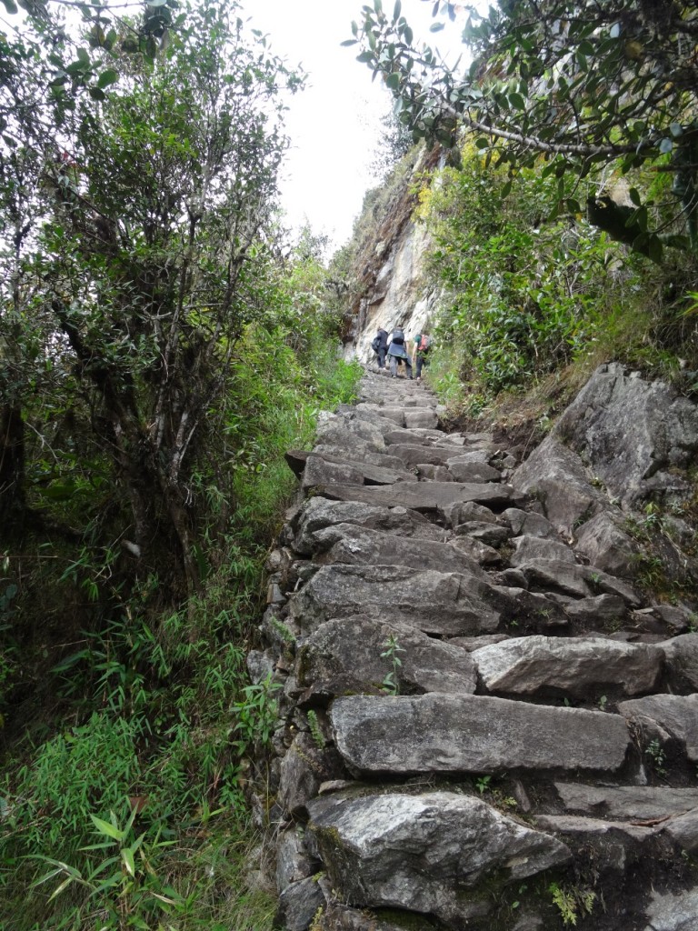 Wir steigen weiter hinauf auf den Berg Machu Picchu...