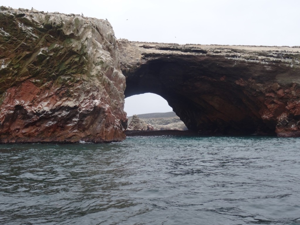 ... und nur von Vögeln bewohnt