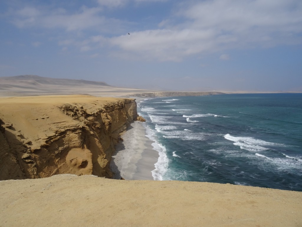 Die Bustour führt uns in die Wüste