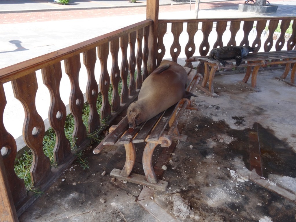 ... und fast überall