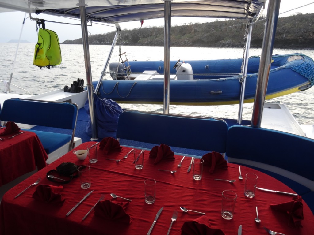 Bereit für's Abendessen