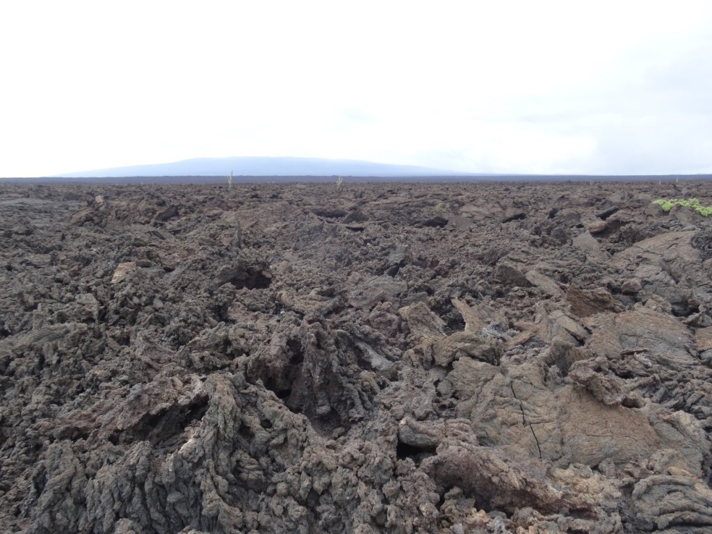 Beim Punto Moreno wandern wir auf erstarrter Lava herum