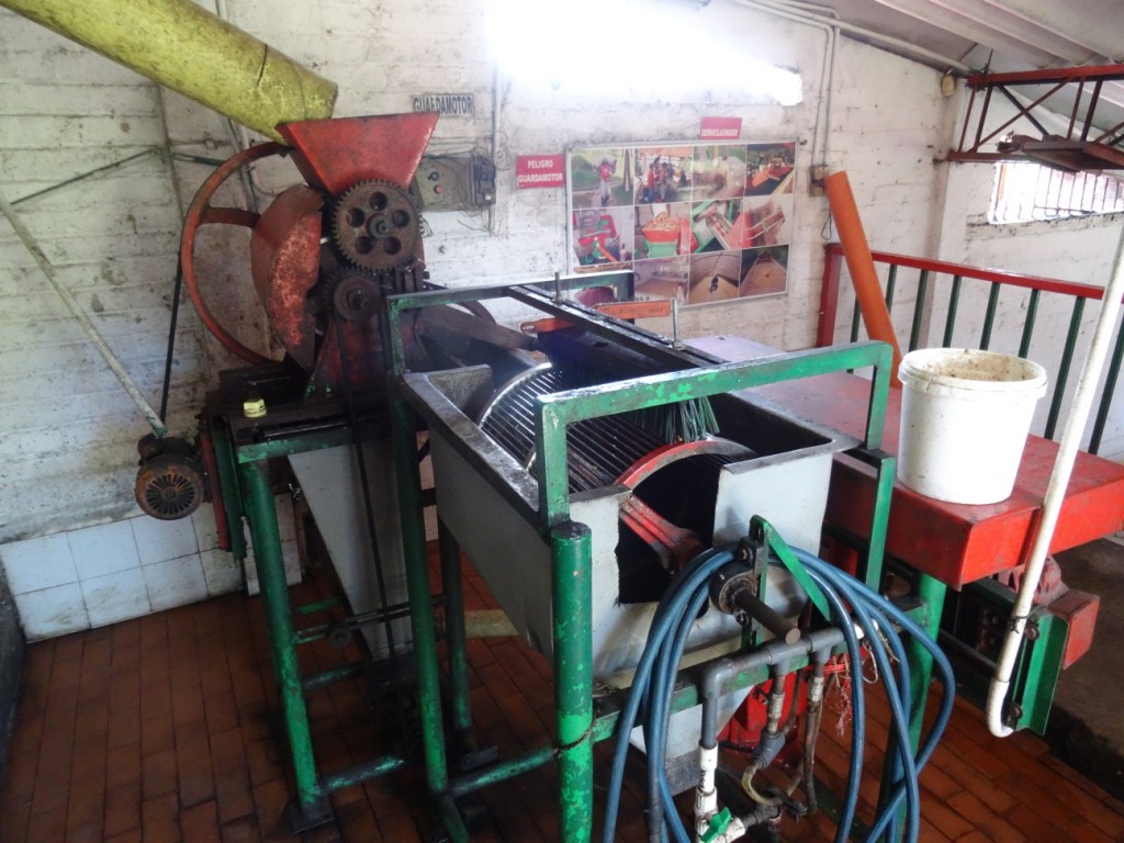 In dieser Maschine werden sie geschält