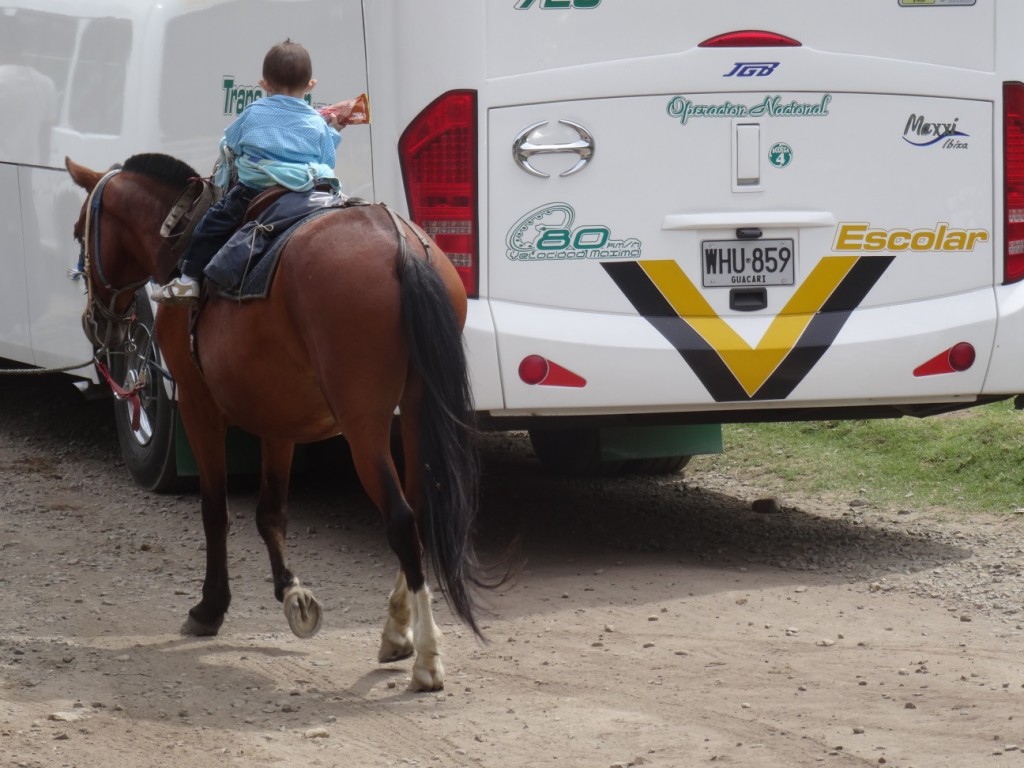 Man ist nie zu jung zum Reiten!