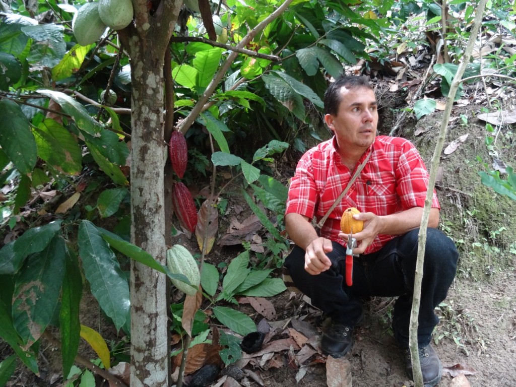 In der Finca La Candelaria machen wir eine Kakao Tour