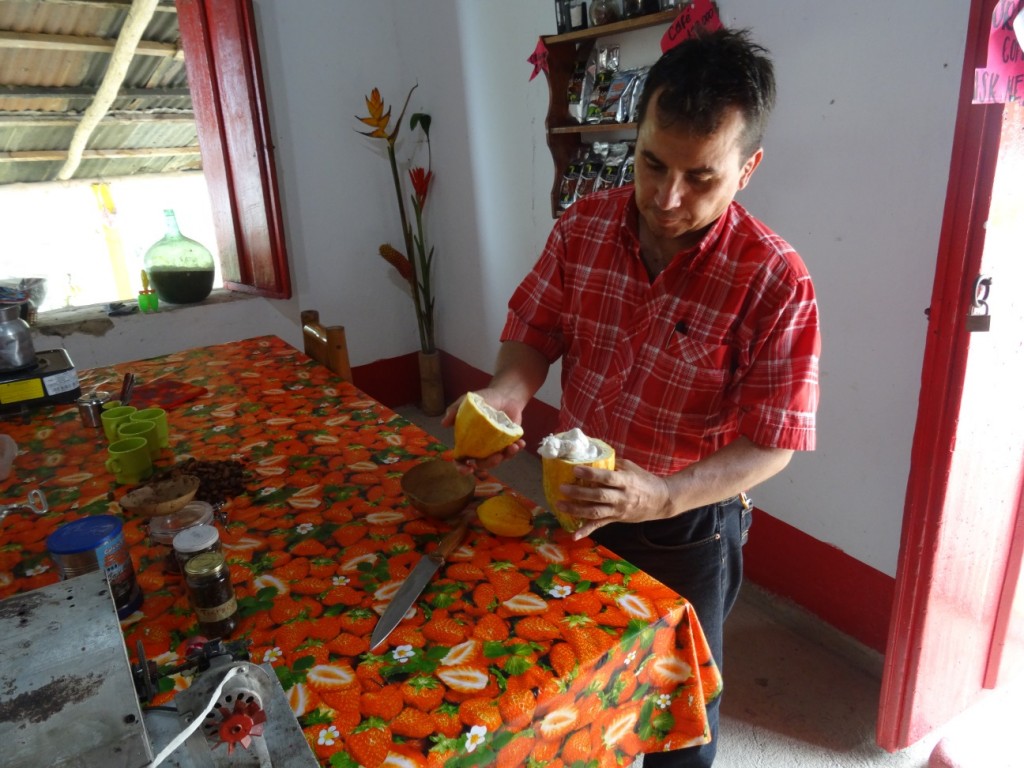 So sieht die Frucht aus