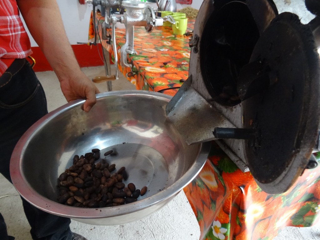 Die gerösteten Kakao-Bohnen